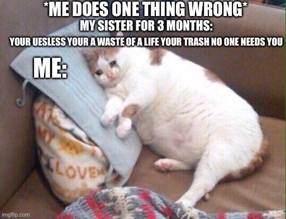 And this is why i have depression | *ME DOES ONE THING WRONG*; MY SISTER FOR 3 MONTHS:; YOUR UESLESS YOUR A WASTE OF A LIFE YOUR TRASH NO ONE NEEDS YOU; ME: | image tagged in sad cat | made w/ Imgflip meme maker