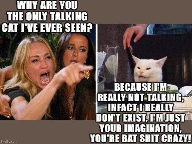 Woman yelling at cat | WHY ARE YOU THE ONLY TALKING CAT I'VE EVER SEEN? BECAUSE I'M REALLY NOT TALKING, INFACT I REALLY DON'T EXIST, I'M JUST YOUR IMAGINATION, YOU'RE BAT SHIT CRAZY! | image tagged in smudge the cat | made w/ Imgflip meme maker