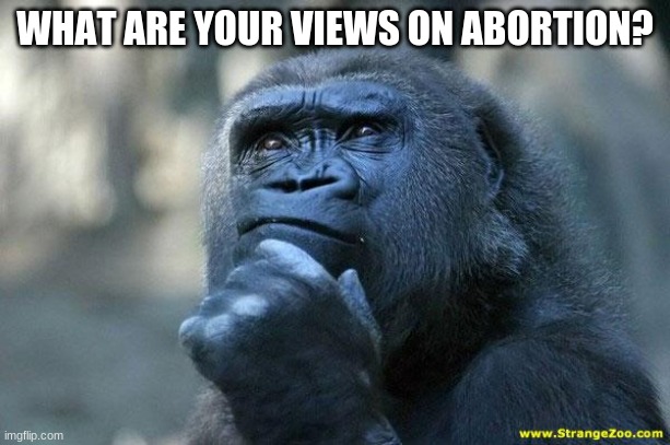 Deep Thoughts | WHAT ARE YOUR VIEWS ON ABORTION? | image tagged in deep thoughts | made w/ Imgflip meme maker