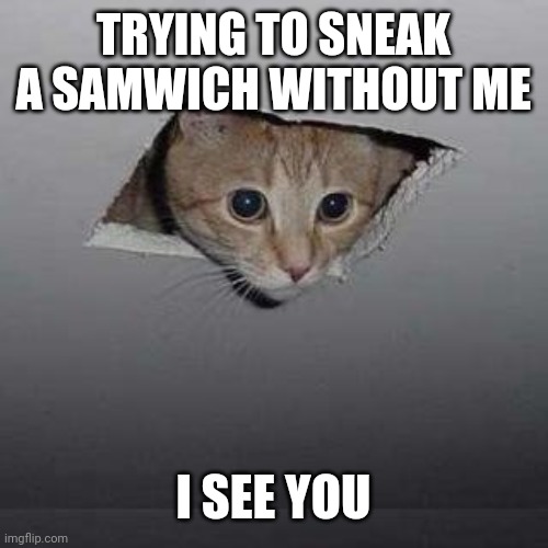 Ceiling Cat | TRYING TO SNEAK A SAMWICH WITHOUT ME; I SEE YOU | image tagged in memes,ceiling cat | made w/ Imgflip meme maker