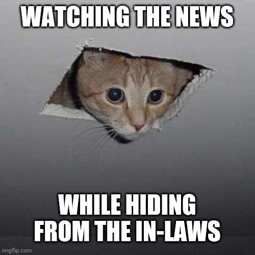 Ceiling Cat Meme | WATCHING THE NEWS; WHILE HIDING FROM THE IN-LAWS | image tagged in memes,ceiling cat | made w/ Imgflip meme maker