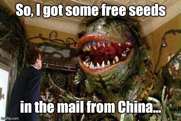 little shop of horrors | So, I got some free seeds; in the mail from China... | image tagged in little shop of horrors | made w/ Imgflip meme maker