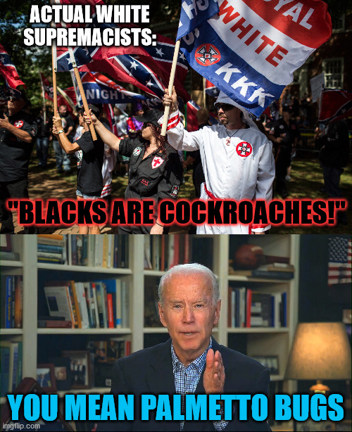 ACTUAL WHITE SUPREMACISTS:; "BLACKS ARE COCKROACHES!"; YOU MEAN PALMETTO BUGS | image tagged in black people,joe biden,cockroach,bug,racism,memes | made w/ Imgflip meme maker