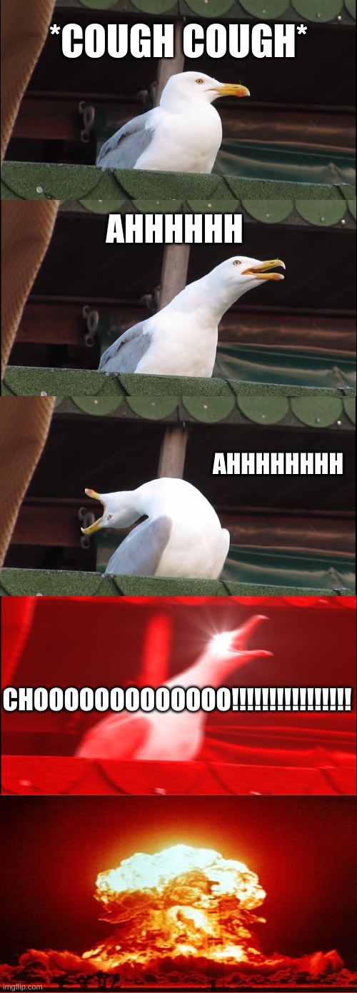 achoo | *COUGH COUGH*; AHHHHHH; AHHHHHHHH; CHOOOOOOOOOOOOO!!!!!!!!!!!!!!!! | image tagged in memes,inhaling seagull,sneeze | made w/ Imgflip meme maker