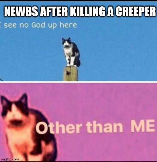 i am god | NEWBS AFTER KILLING A CREEPER | image tagged in i see no god up here other than me | made w/ Imgflip meme maker