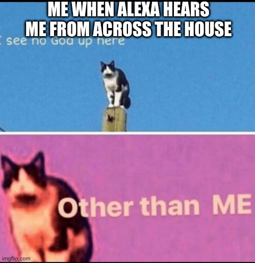 i am god | ME WHEN ALEXA HEARS ME FROM ACROSS THE HOUSE | image tagged in i see no god up here other than me | made w/ Imgflip meme maker