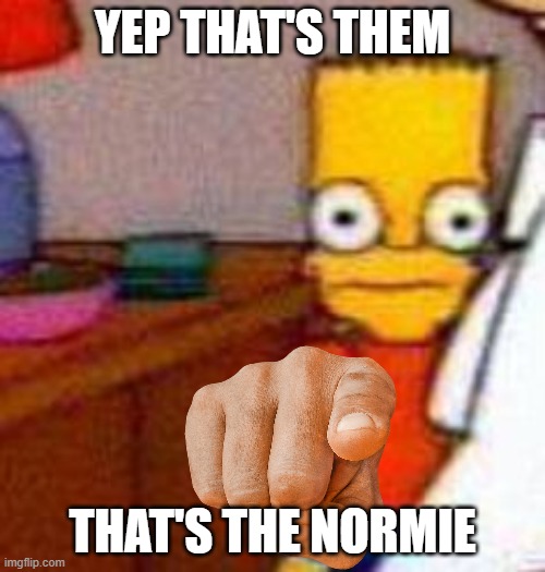 might share it to mah insta idk | YEP THAT'S THEM; THAT'S THE NORMIE | image tagged in instagram,normie,insta,bart simpson,simpson,cringe | made w/ Imgflip meme maker
