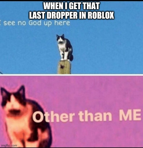 i am god | WHEN I GET THAT LAST DROPPER IN ROBLOX | image tagged in i see no god up here other than me | made w/ Imgflip meme maker