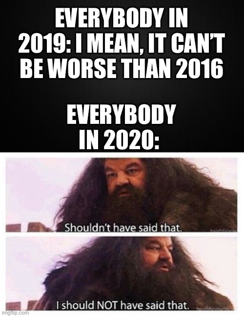 They jinxed it | EVERYBODY IN 2019: I MEAN, IT CAN’T BE WORSE THAN 2016; EVERYBODY IN 2020: | image tagged in hagrid shouldn't have said that,2020 | made w/ Imgflip meme maker