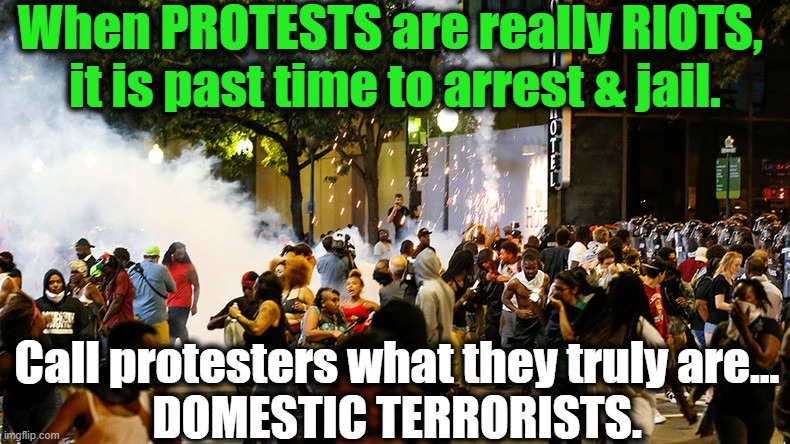 Democrats, Call Out Your Base & Stop the Insanity! | When PROTESTS are really RIOTS, 
it is past time to arrest & jail. Call protesters what they truly are...
DOMESTIC TERRORISTS. | image tagged in politics,political meme,democratic socialism,democrats,insanity,riots | made w/ Imgflip meme maker