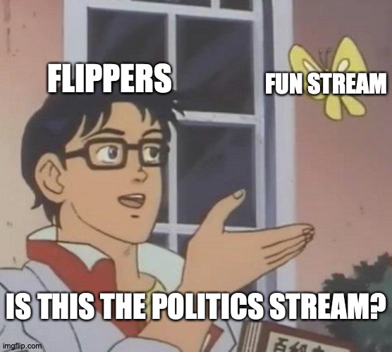 Justice For Fun Stream | FLIPPERS; FUN STREAM; IS THIS THE POLITICS STREAM? | image tagged in memes,is this a pigeon,imgflip | made w/ Imgflip meme maker