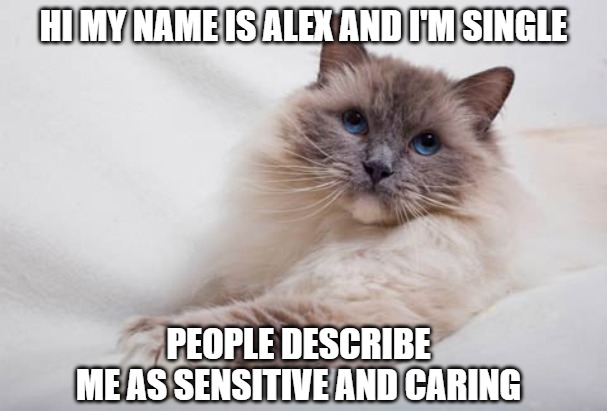 Katmandu | HI MY NAME IS ALEX AND I'M SINGLE; PEOPLE DESCRIBE
ME AS SENSITIVE AND CARING | image tagged in cats,memes,fun,funny,funny memes,dating | made w/ Imgflip meme maker