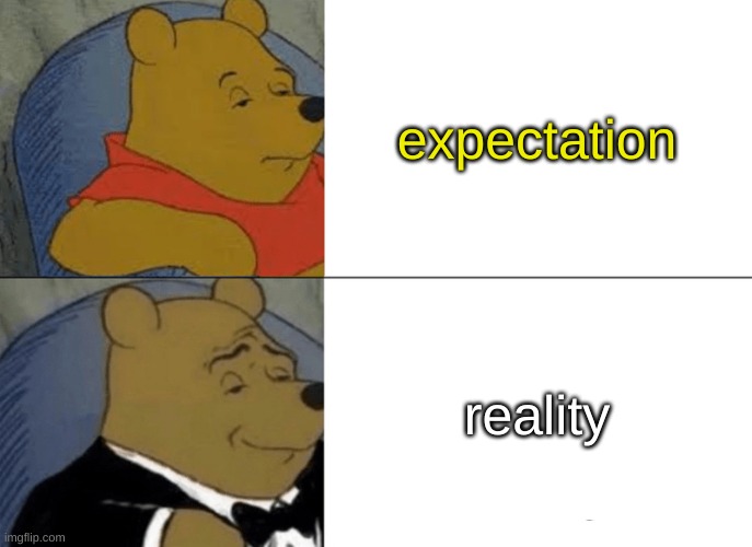 Tuxedo Winnie The Pooh Meme | expectation; reality | image tagged in memes,tuxedo winnie the pooh | made w/ Imgflip meme maker