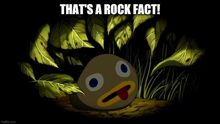 Rock Fact | THAT'S A ROCK FACT! | image tagged in rock fact | made w/ Imgflip meme maker