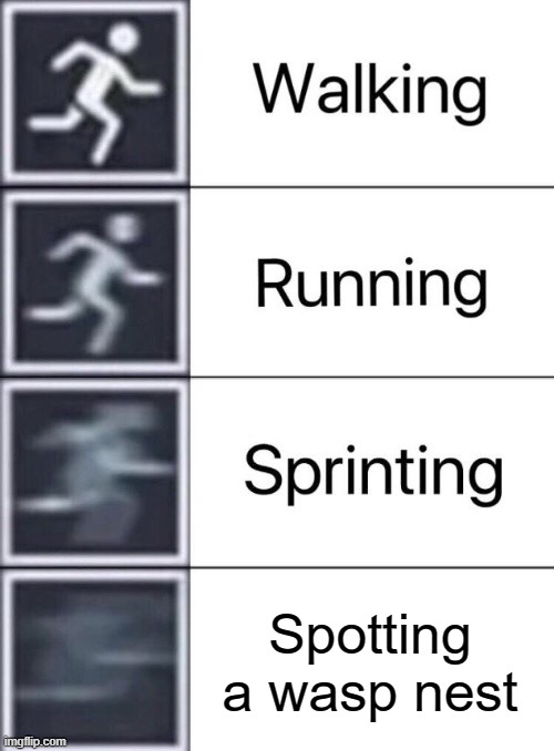 Walking, Running, Sprinting | Spotting a wasp nest | image tagged in walking running sprinting | made w/ Imgflip meme maker