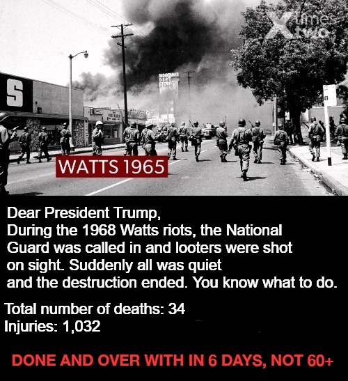 Dear President Trump | image tagged in seattle,riots black lives matter,antifa,anarchy,sedition,portland | made w/ Imgflip meme maker