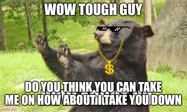 How About No Bear Meme | WOW TOUGH GUY; DO YOU THINK YOU CAN TAKE ME ON HOW ABOUT I TAKE YOU DOWN | image tagged in memes,how about no bear | made w/ Imgflip meme maker