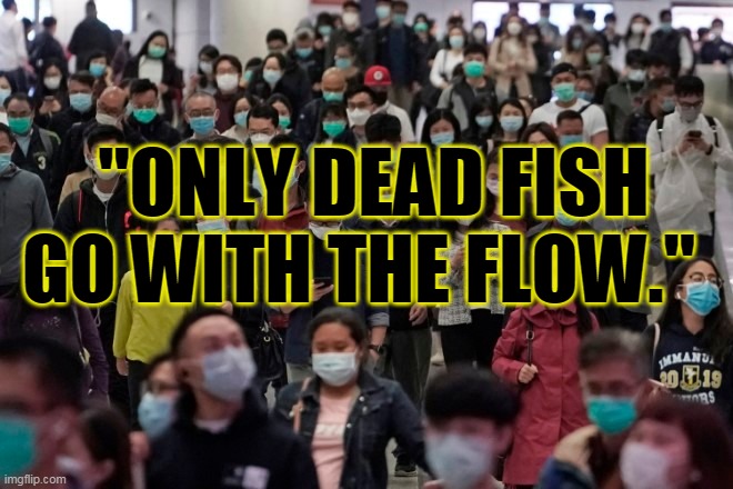 "ONLY DEAD FISH GO WITH THE FLOW." | made w/ Imgflip meme maker