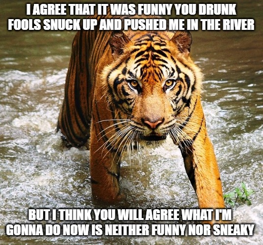 Drunk Fools | I AGREE THAT IT WAS FUNNY YOU DRUNK FOOLS SNUCK UP AND PUSHED ME IN THE RIVER; BUT I THINK YOU WILL AGREE WHAT I'M 
GONNA DO NOW IS NEITHER FUNNY NOR SNEAKY | image tagged in cats,tigers,fools,memes,fun,funny | made w/ Imgflip meme maker
