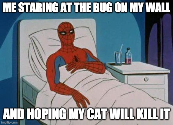 Spiderman Hospital | ME STARING AT THE BUG ON MY WALL; AND HOPING MY CAT WILL KILL IT | image tagged in memes,spiderman hospital,spiderman | made w/ Imgflip meme maker
