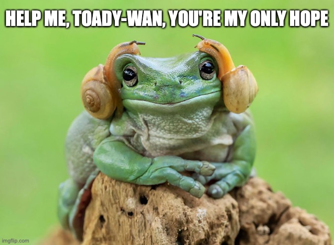 Princess Leia Frogana | HELP ME, TOADY-WAN, YOU'RE MY ONLY HOPE | image tagged in humor,star wars | made w/ Imgflip meme maker