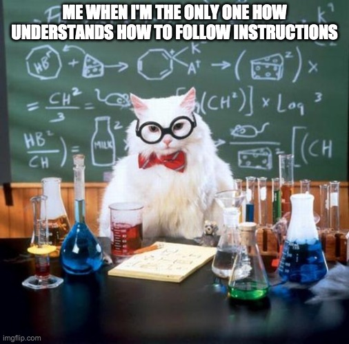 Chemistry Cat | ME WHEN I'M THE ONLY ONE HOW UNDERSTANDS HOW TO FOLLOW INSTRUCTIONS | image tagged in memes,chemistry cat | made w/ Imgflip meme maker