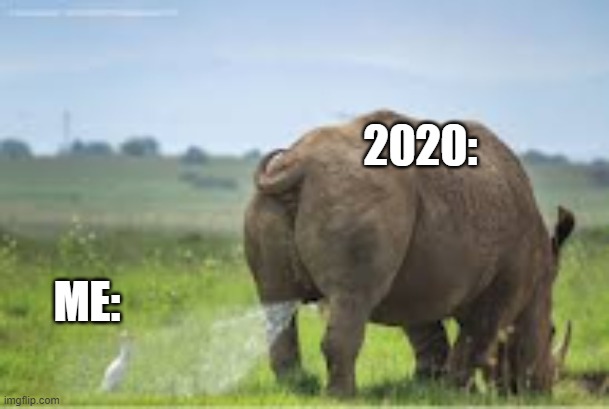 2020 Right now | 2020:; ME: | image tagged in rhino,memes,funny,funny memes,2020 | made w/ Imgflip meme maker