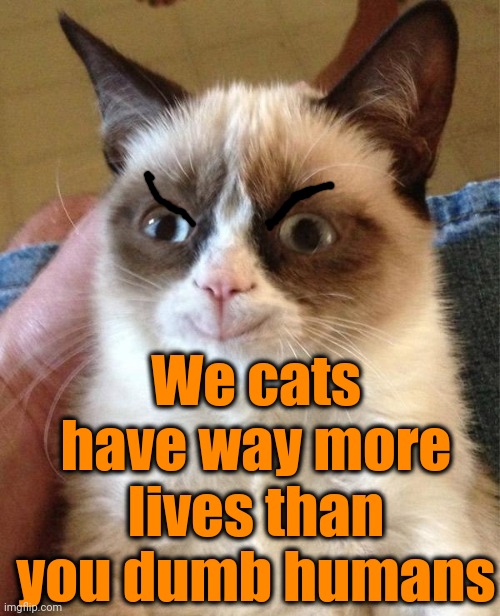 Grumpy Cat Happy Meme | We cats have way more lives than you dumb humans | image tagged in memes,grumpy cat happy,grumpy cat | made w/ Imgflip meme maker