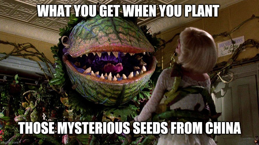 Chinese seeds | WHAT YOU GET WHEN YOU PLANT; THOSE MYSTERIOUS SEEDS FROM CHINA | image tagged in china,seeds | made w/ Imgflip meme maker