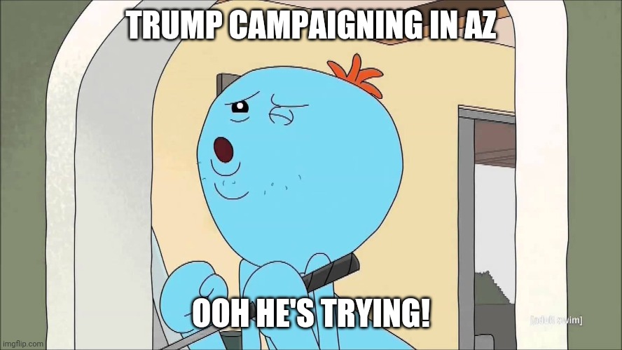 Mr. Meeseeks - Ooh He's Trying! | TRUMP CAMPAIGNING IN AZ; OOH HE'S TRYING! | image tagged in mr meeseeks - ooh he's trying | made w/ Imgflip meme maker