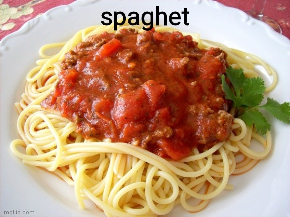 Spaghetti  | spaghet | image tagged in spaghetti | made w/ Imgflip meme maker