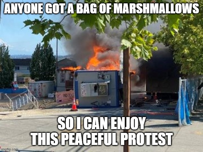 Seattle Burns | ANYONE GOT A BAG OF MARSHMALLOWS; SO I CAN ENJOY THIS PEACEFUL PROTEST | image tagged in seattle burns | made w/ Imgflip meme maker
