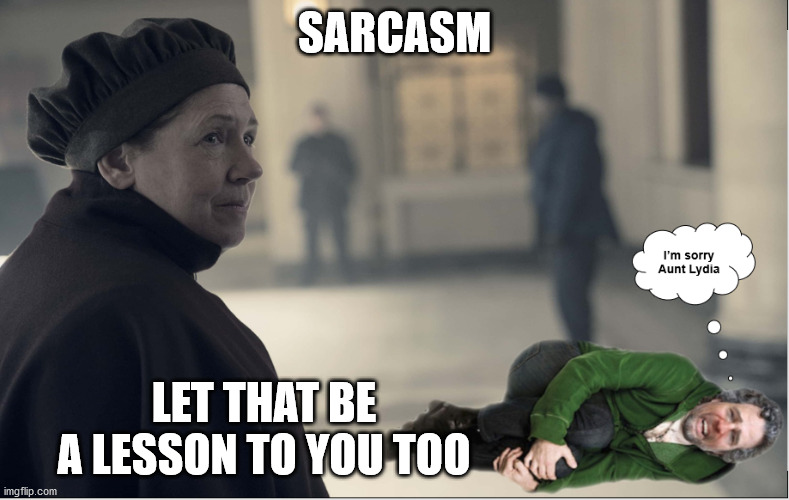 Is That Sarcasm I Smell |  SARCASM; LET THAT BE A LESSON TO YOU TOO | image tagged in sorry aunt lydia,let that be a lesson to you too,under her eye,aunt lydia openeth | made w/ Imgflip meme maker