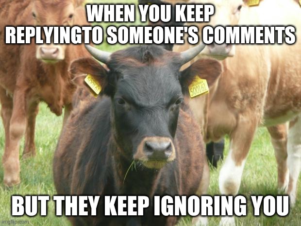 Passive-Aggressive Bull | WHEN YOU KEEP REPLYINGTO SOMEONE'S COMMENTS; BUT THEY KEEP IGNORING YOU | image tagged in passive-aggressive bull | made w/ Imgflip meme maker