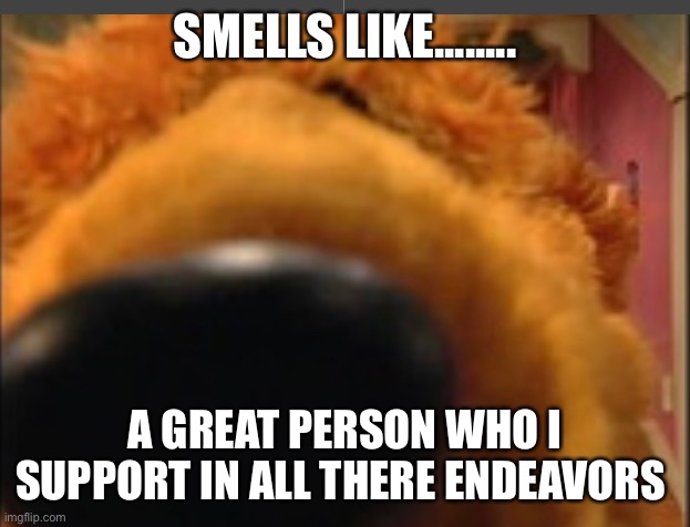 SMELLS LIKE........ A GREAT PERSON WHO I SUPPORT IN ALL THERE ENDEAVORS | image tagged in memes | made w/ Imgflip meme maker