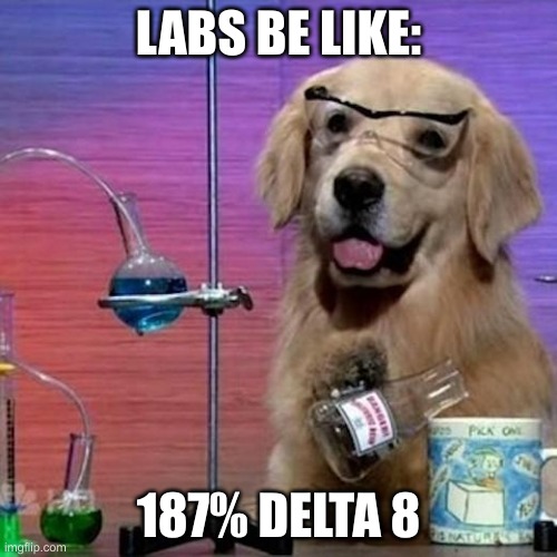 I Have No Idea What I Am Doing Dog Meme | LABS BE LIKE:; 187% DELTA 8 | image tagged in memes,i have no idea what i am doing dog | made w/ Imgflip meme maker