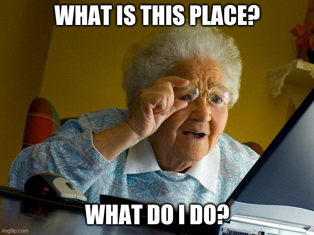 Grandma Finds The Internet Meme | WHAT IS THIS PLACE? WHAT DO I DO? | image tagged in memes,grandma finds the internet | made w/ Imgflip meme maker