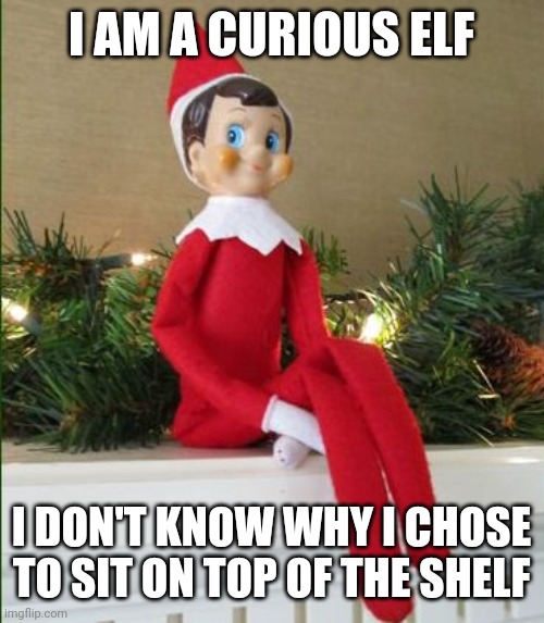 Elf on a Shelf | I AM A CURIOUS ELF; I DON'T KNOW WHY I CHOSE TO SIT ON TOP OF THE SHELF | image tagged in elf on a shelf | made w/ Imgflip meme maker