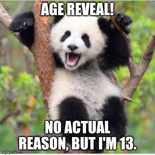 Well, I guess because I now have 26 followers? | AGE REVEAL! NO ACTUAL REASON, BUT I'M 13. | image tagged in panda | made w/ Imgflip meme maker