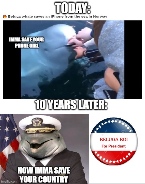 It's coming real soon, boys | TODAY:; IMMA SAVE YOUR 
PHONE GIRL; 10 YEARS LATER:; BELUGA BOI; NOW IMMA SAVE YOUR COUNTRY | image tagged in blank white template,dolphins,fun | made w/ Imgflip meme maker