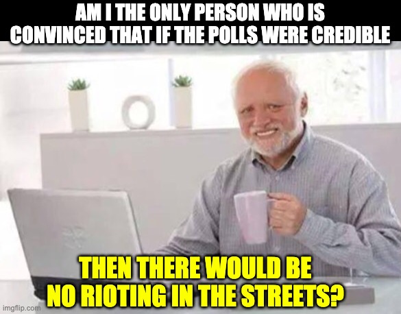 Harold | AM I THE ONLY PERSON WHO IS CONVINCED THAT IF THE POLLS WERE CREDIBLE; THEN THERE WOULD BE NO RIOTING IN THE STREETS? | image tagged in harold | made w/ Imgflip meme maker