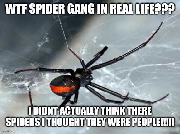 WTF SPIDER GANG IN REAL LIFE??? I DIDNT ACTUALLY THINK THERE SPIDERS I THOUGHT THEY WERE PEOPLE!!!!! | made w/ Imgflip meme maker