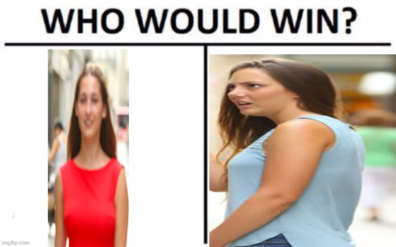 Who Would Win? | image tagged in memes,who would win | made w/ Imgflip meme maker