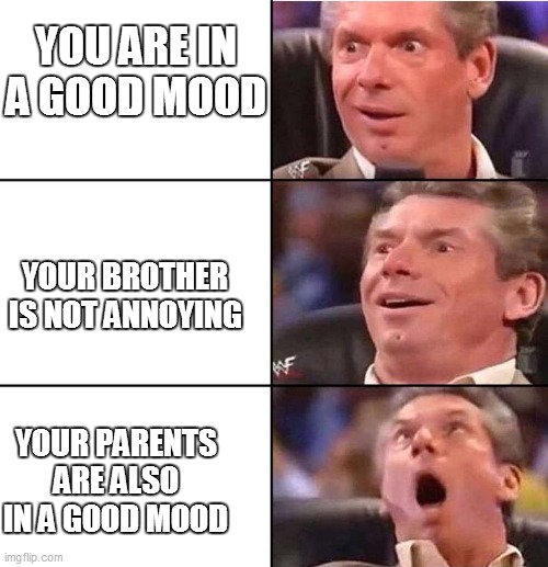 Is to beautiful to be real | YOU ARE IN A GOOD MOOD; YOUR BROTHER IS NOT ANNOYING; YOUR PARENTS ARE ALSO IN A GOOD MOOD | image tagged in wwe | made w/ Imgflip meme maker