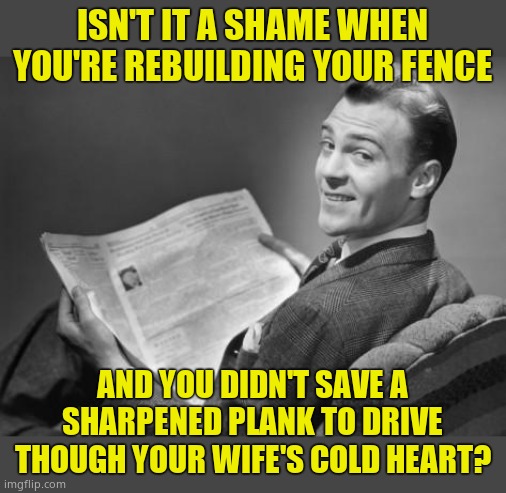 Regrets | ISN'T IT A SHAME WHEN YOU'RE REBUILDING YOUR FENCE; AND YOU DIDN'T SAVE A SHARPENED PLANK TO DRIVE THOUGH YOUR WIFE'S COLD HEART? | image tagged in 50's newspaper,martial problems,mistake,dark humor,damned postman | made w/ Imgflip meme maker