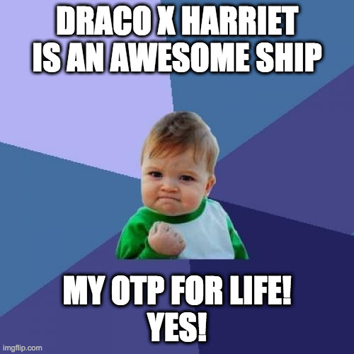 Success Kid Meme | DRACO X HARRIET IS AN AWESOME SHIP; MY OTP FOR LIFE!
YES! | image tagged in memes,success kid | made w/ Imgflip meme maker