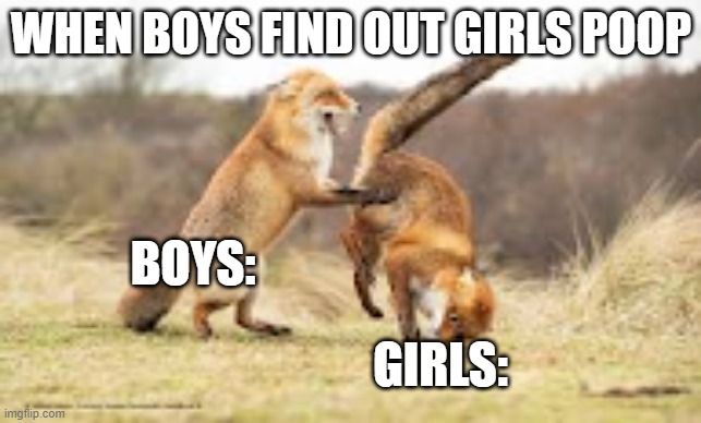 Boys tho | WHEN BOYS FIND OUT GIRLS POOP; BOYS:; GIRLS: | image tagged in fox,memes,boys,funny memes,funny meme,meme | made w/ Imgflip meme maker