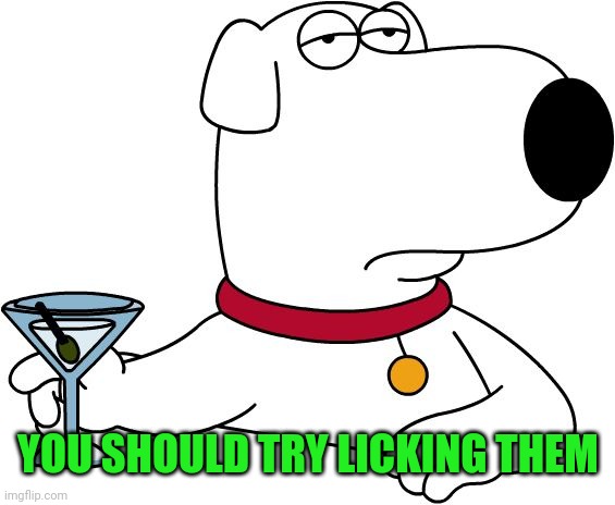 Family Guy Brian | YOU SHOULD TRY LICKING THEM | image tagged in family guy brian | made w/ Imgflip meme maker