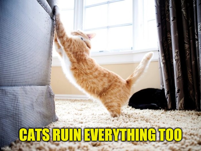 CATS RUIN EVERYTHING TOO | made w/ Imgflip meme maker