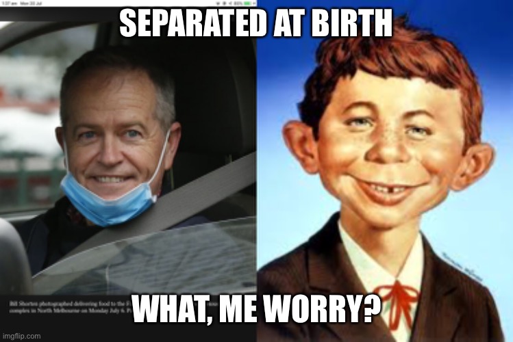 Separated at birth | SEPARATED AT BIRTH; WHAT, ME WORRY? | image tagged in meanwhile in australia | made w/ Imgflip meme maker